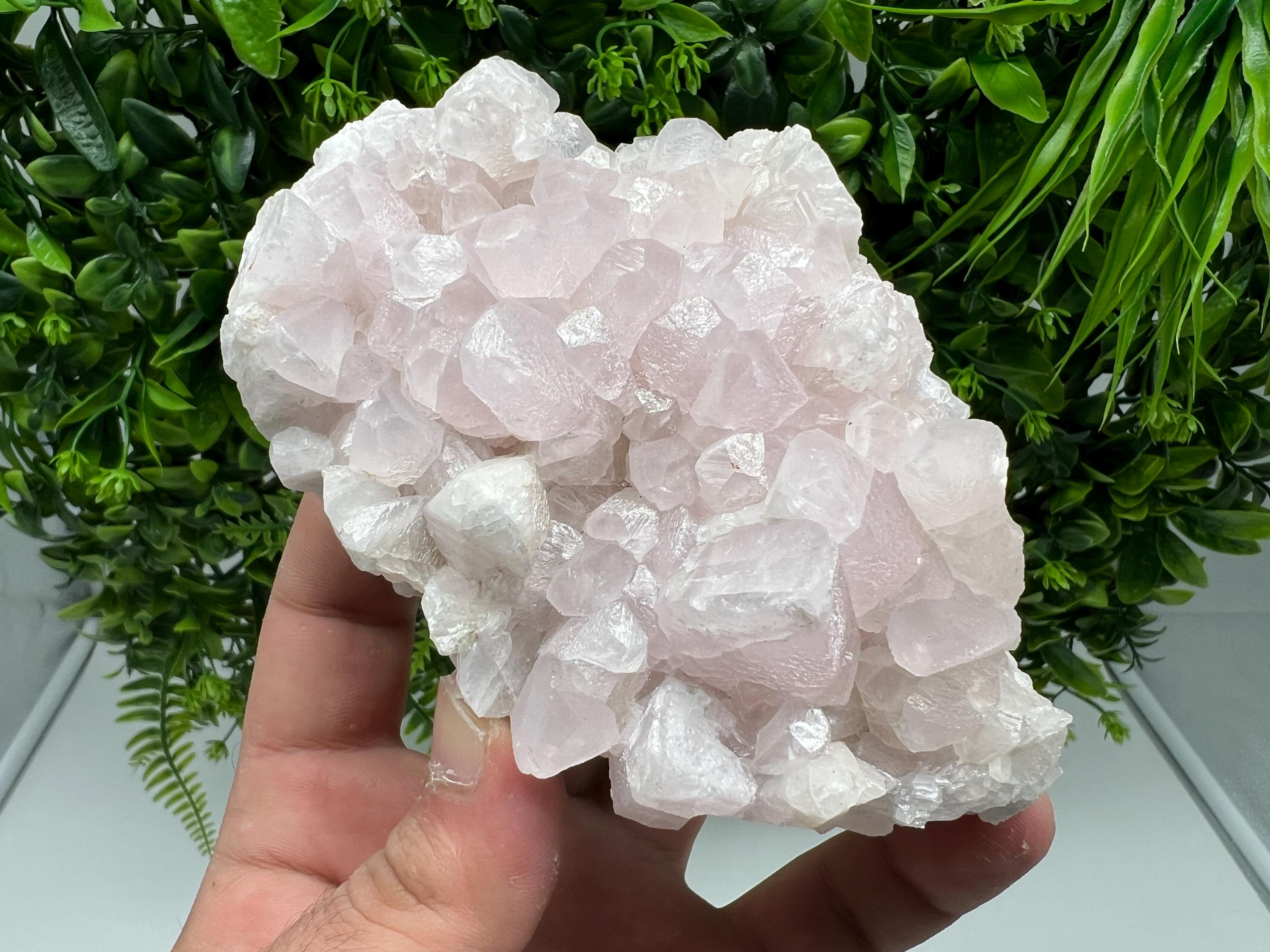 UV Reactive Mangano Calcite Crystal: Androvo Mine, Bulgaria