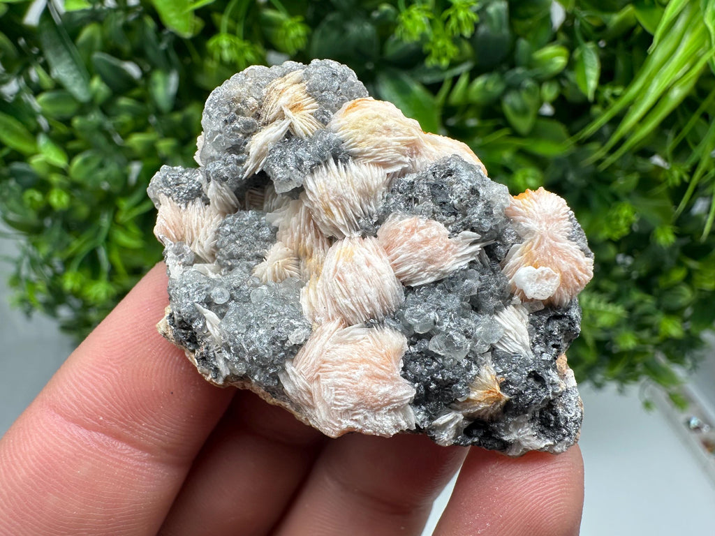 Wonderful Baryte with Cerussite on Galena from Morocco,Crystal, Mineral,Specimen,Cluster,Crystals,Barite Crystal,Cerussite Crystal,Specimen