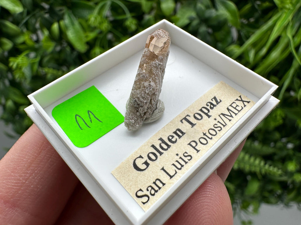 Golden Topaz Crystal, Mineral Specimen from Mexico