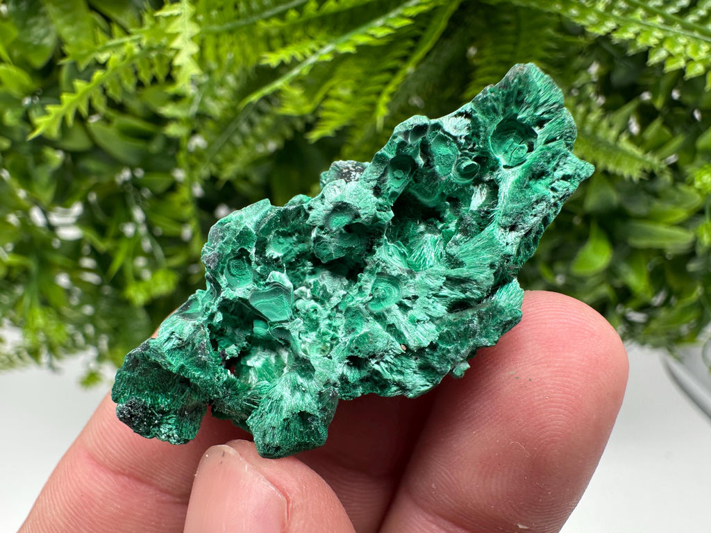 Malachite Crystal from Congo,Minerals,Crystals from Congo,Green Malachite, Malachite,Natural Malachite,Malachite Stone,Chakra, Specimens