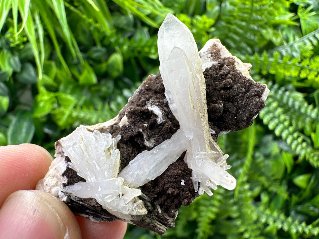 Quartz with Chlorite on Rhodochrosite and Siderite