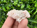 Pink Rhodochrosite Crystal Cluster, Starnica Mine, Bulgaria