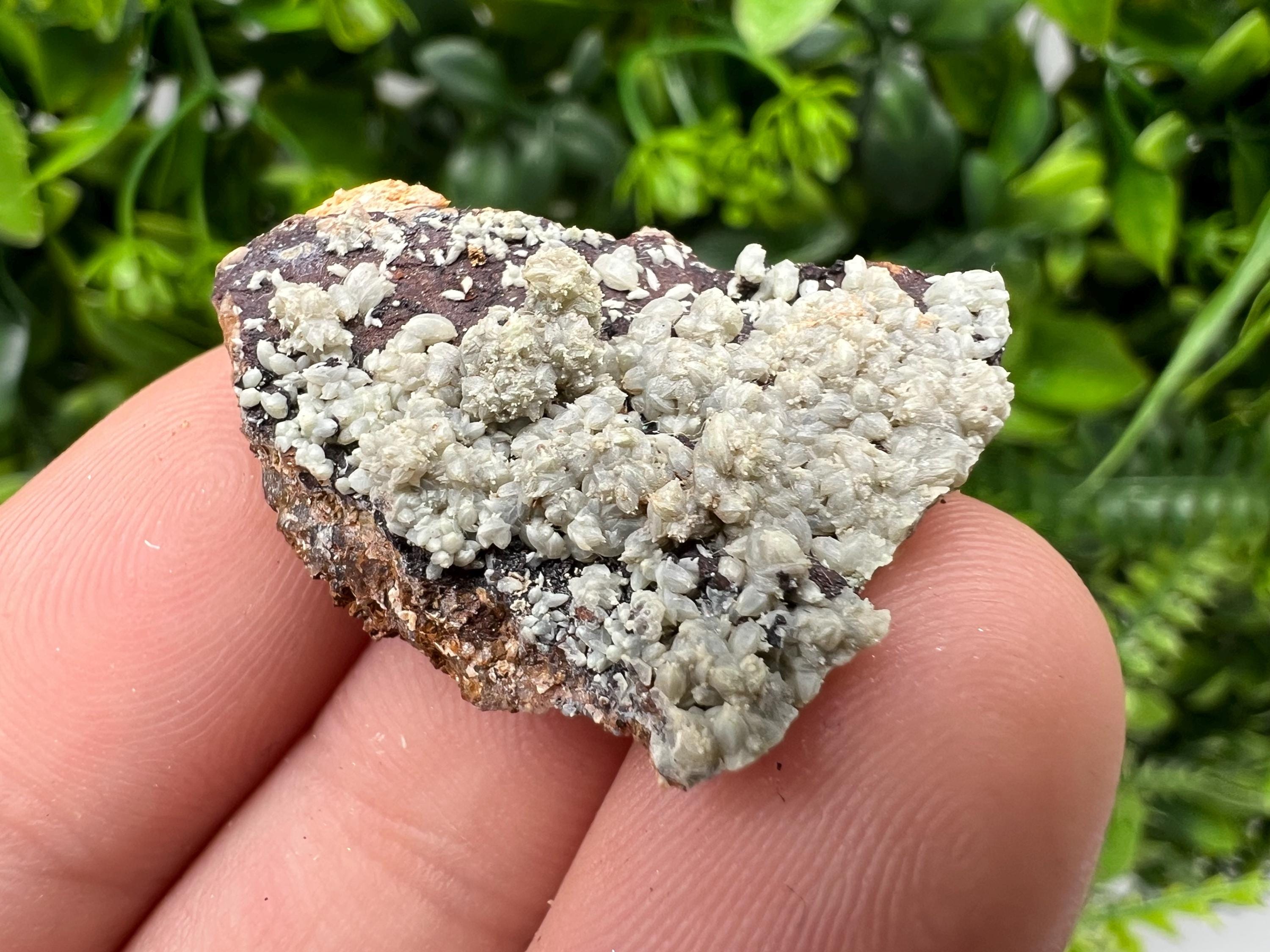 Rare Green/Yellow Pyromorphite and Hematite,on Quartz,from Bulgaria,Madjarovo mine, Natural Mineral ,Healing stone ,top collection,rock