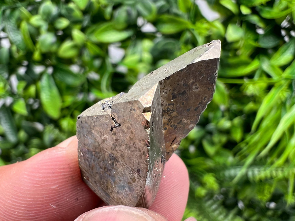 Mini Pyrite Cluster: Rare Crystallization from Borieva Mine