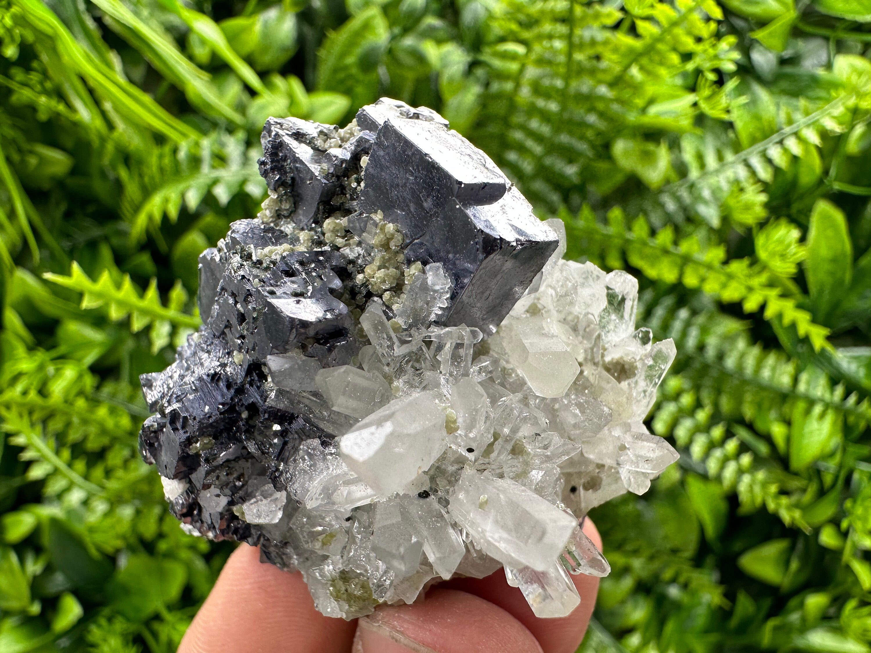 Galena on Quartz: Borieva Mine Crystal Souvenir
