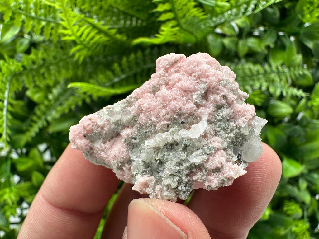 Pink Rhodochrosite Crystal: Starnica Mine, Bulgaria