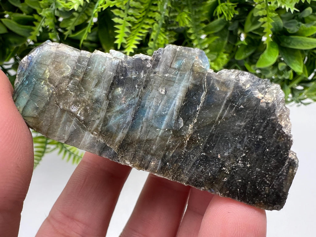 Polished Labradorite Slab: Multifire Crystal Decor - 7x3.3x2.5cm