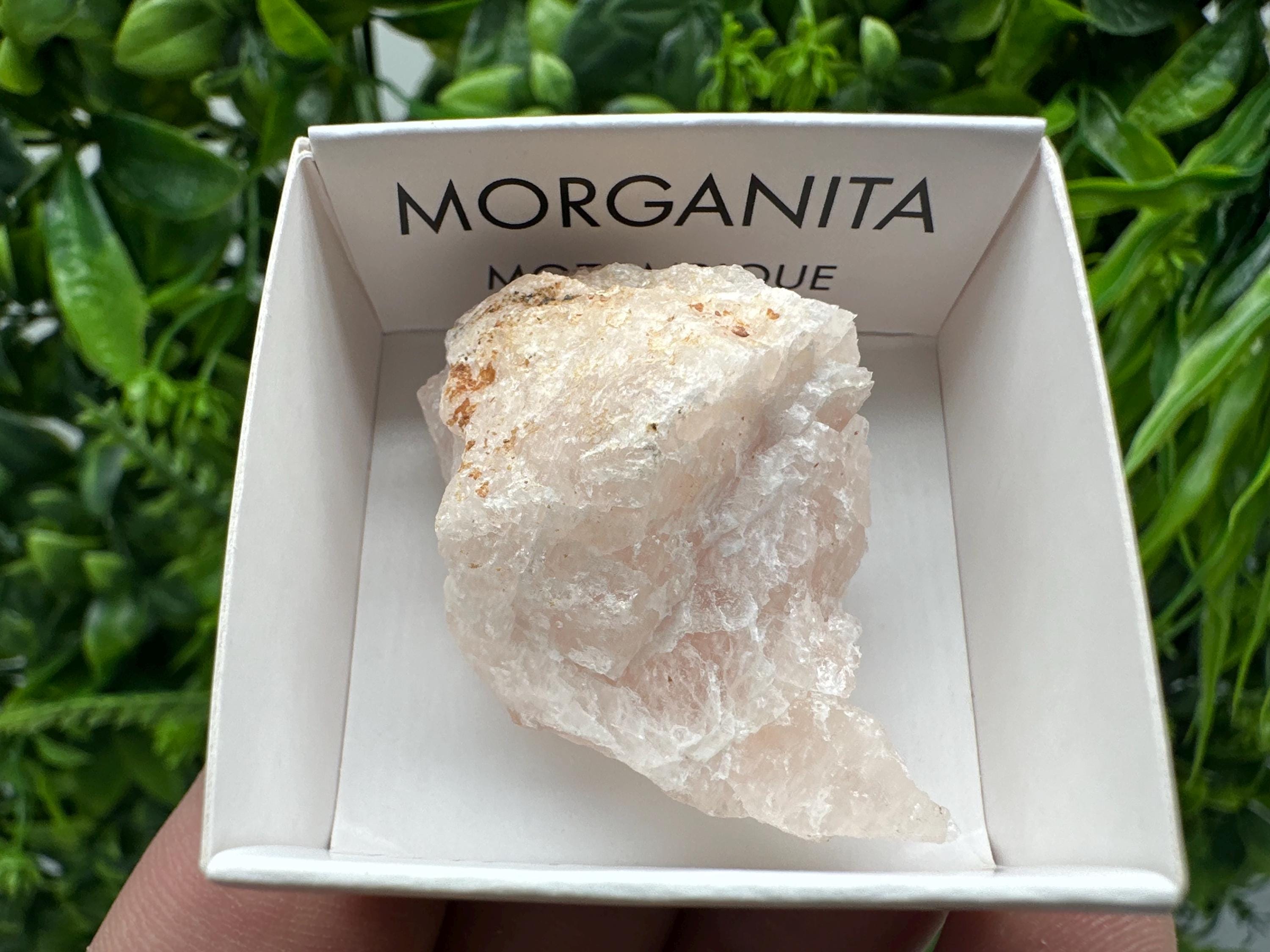 Rare Raw Morganite Specimen: Mozambique Crystal Collection (3/3.5cm)