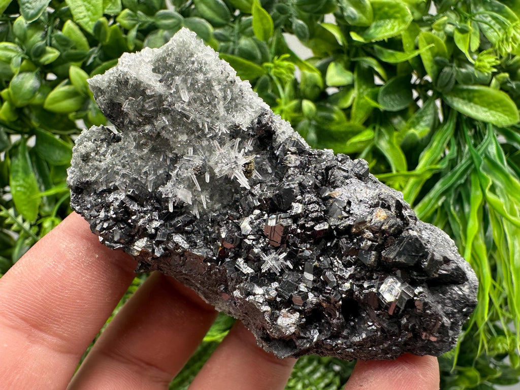 Sphalerite on Green Quartz, Madan Bulgaria Mineral Specimen