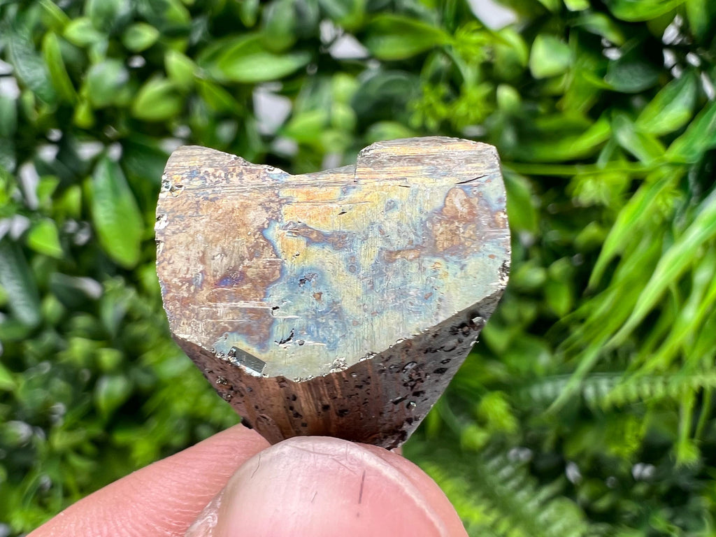 Rare Pyrite Crystal Cluster, Borieva Mine, Bulgaria