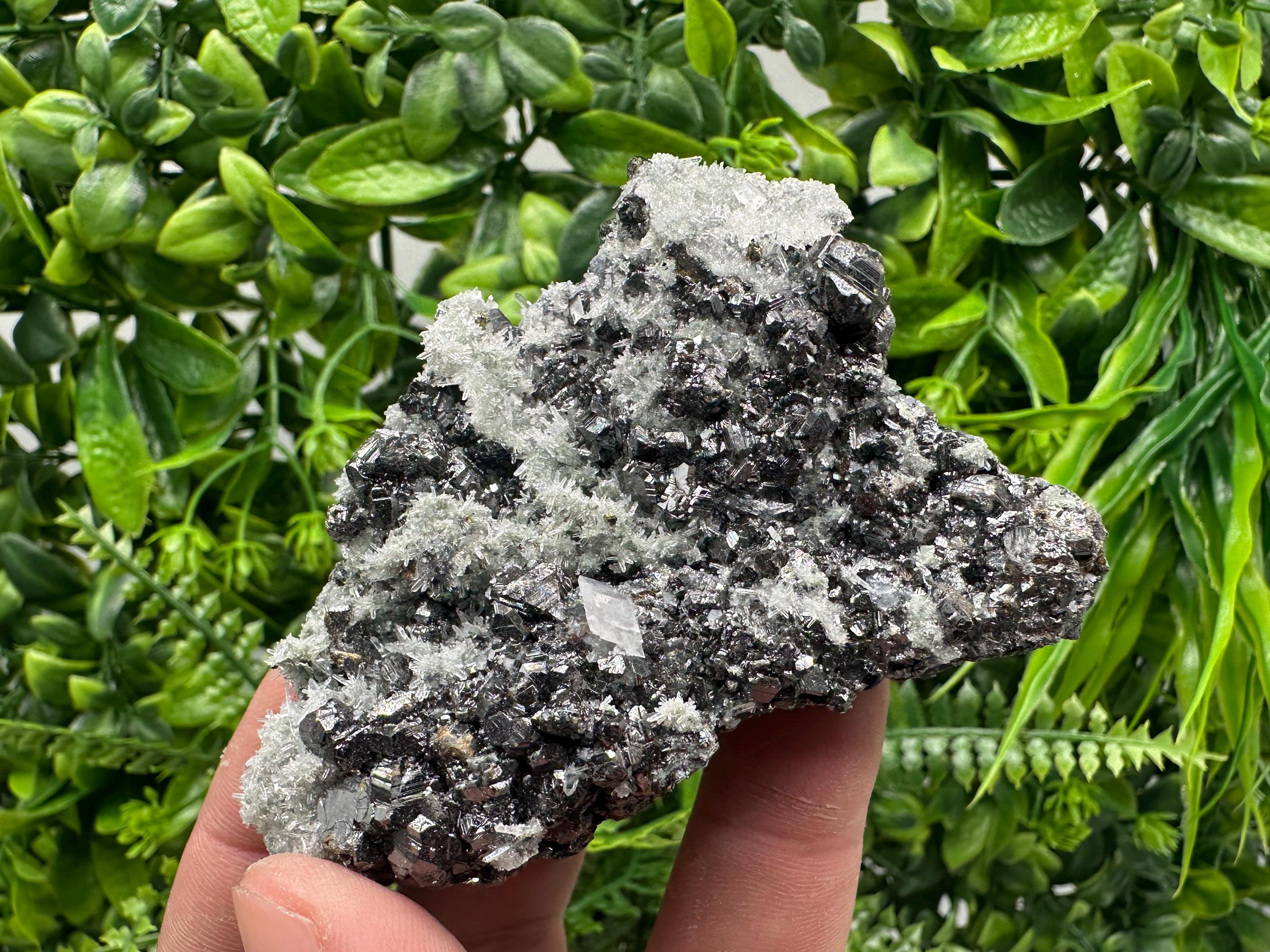 Sphalerite on Green Quartz, Madan Bulgaria, Mineral Specimen
