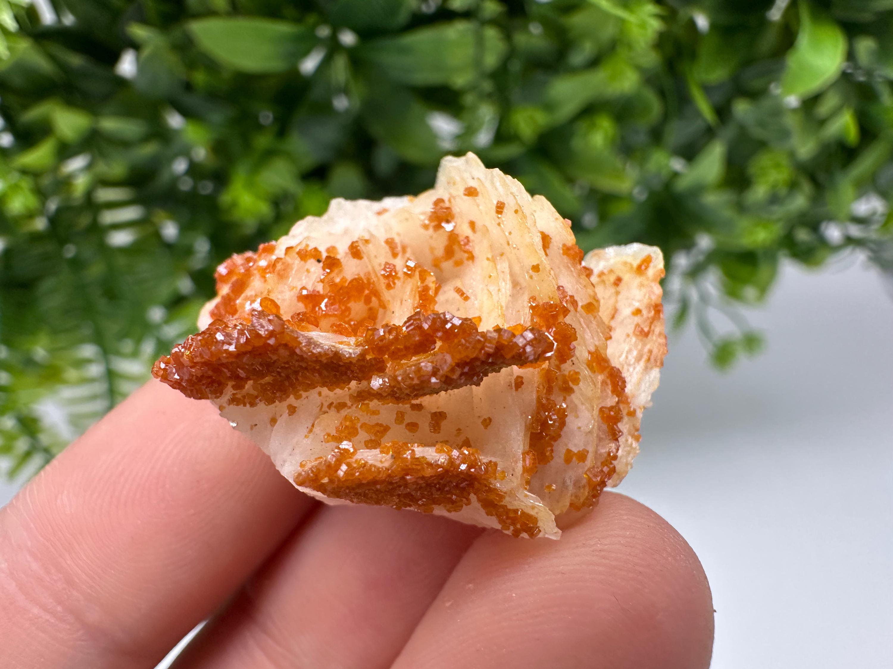 Red Vanadinite on Barite, Moroccan Crystal Cluster