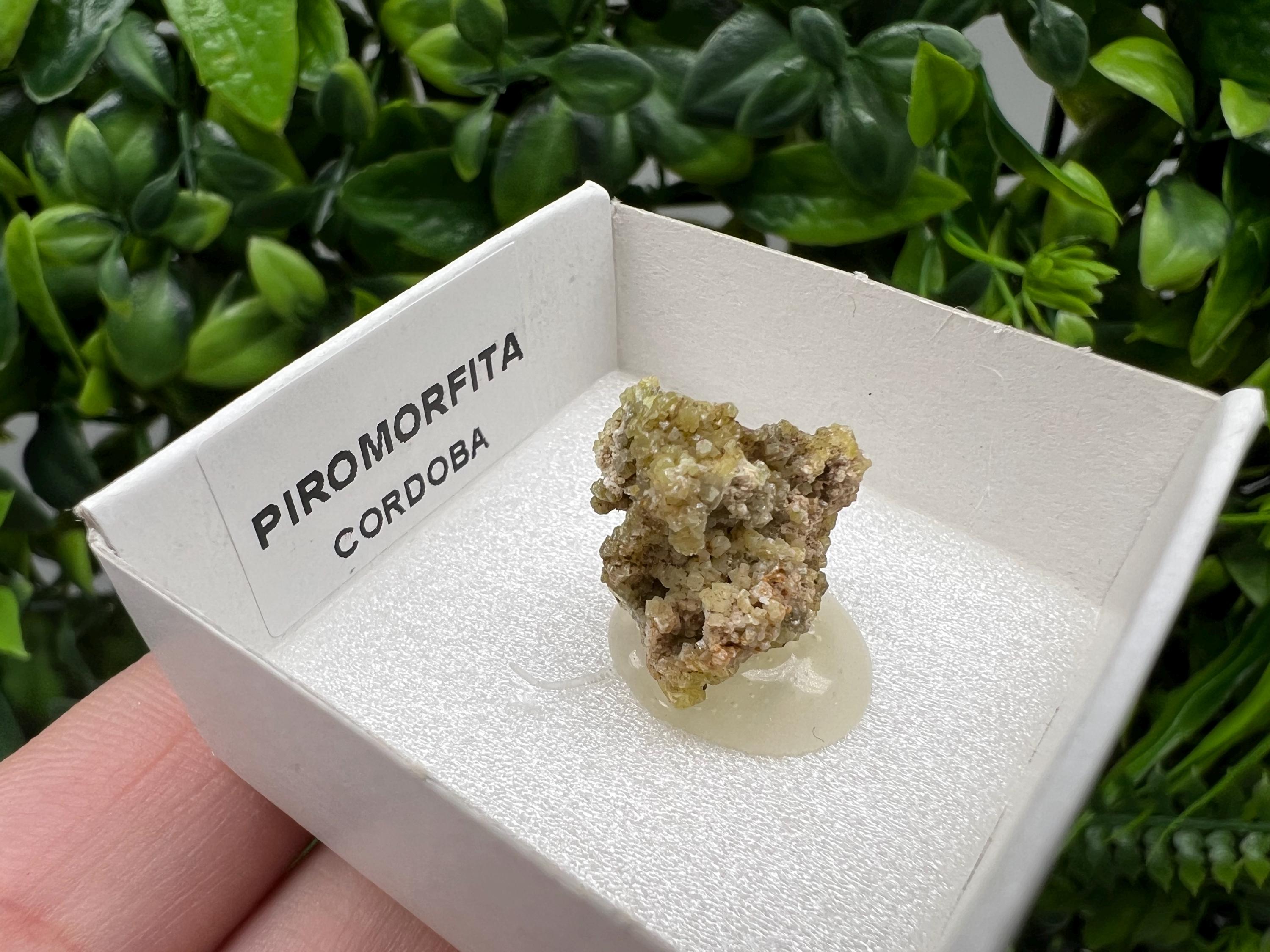 Pyromorphite Stone / Pyromorphite on Matrix / Pyromorphite Crystal / Raw Crystal / Pyromorphite Cluster / Rough Pyromorphite / Pyromorphite