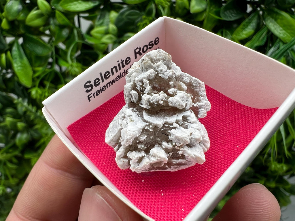 Selenite Rose Freienwalde,Germany natural crystal minerals,specimen,clusters,souvenirs,home decor,gift minerals,rare stone,collection