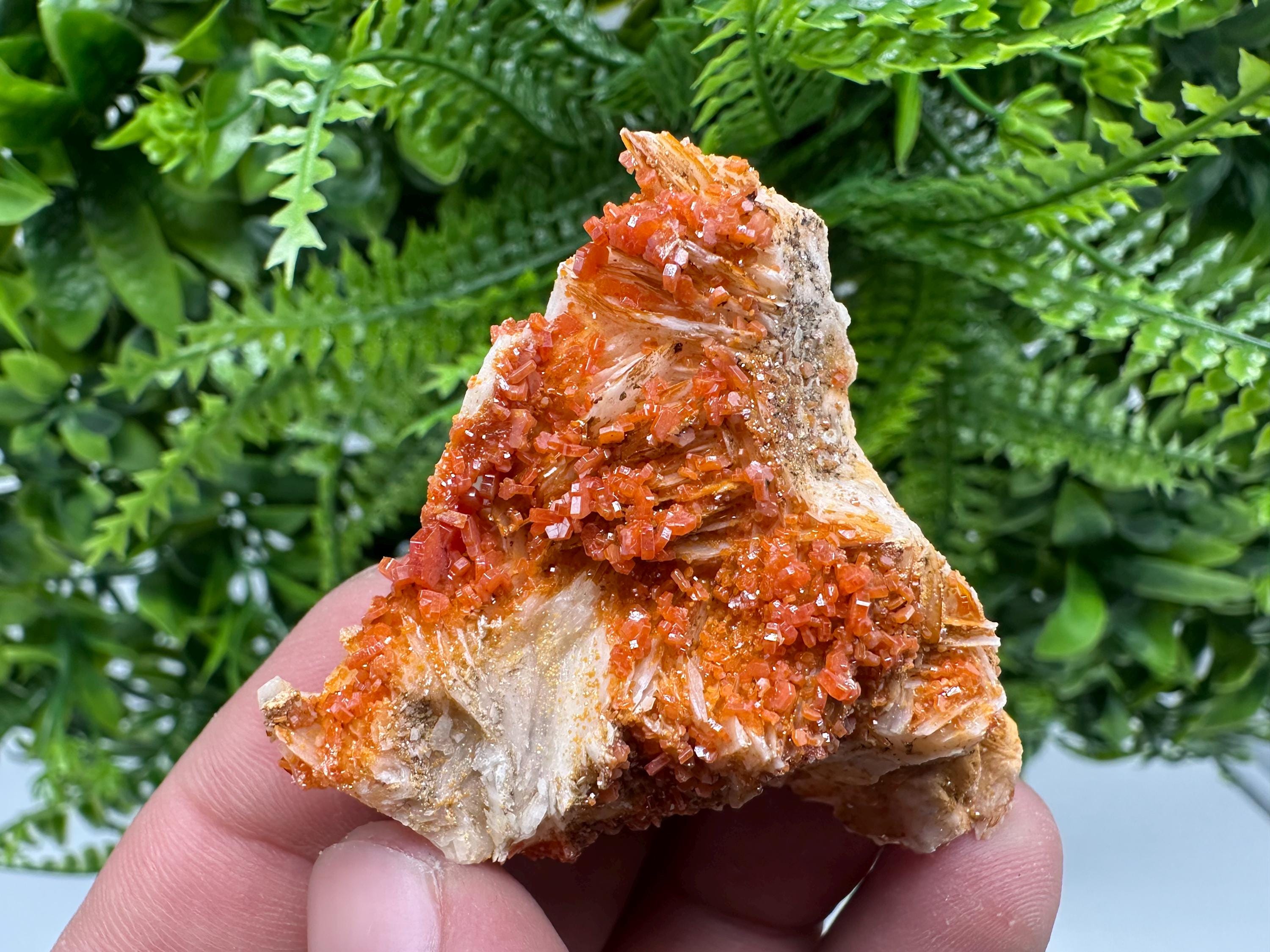 Red Vanadinite Crystal Cluster on Matrix, Morocco Mineral Specimen