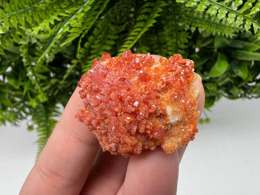 Red Vanadinite Crystal Cluster on Barite, Morocco Mineral Specimen