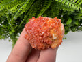 Red Vanadinite Crystal Cluster on Barite, Morocco Mineral Specimen