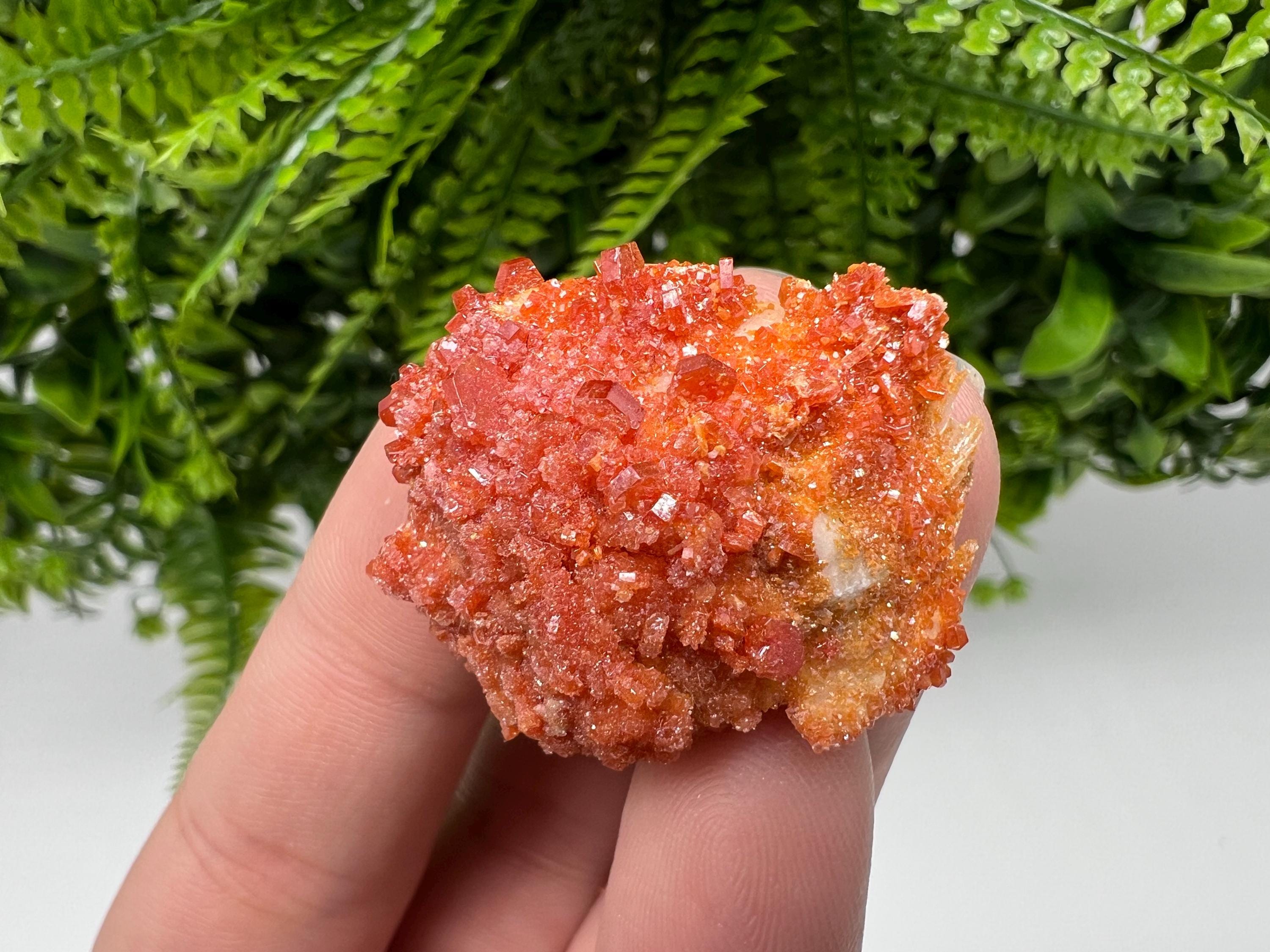 Red Vanadinite Crystal Cluster on Barite, Morocco Mineral Specimen