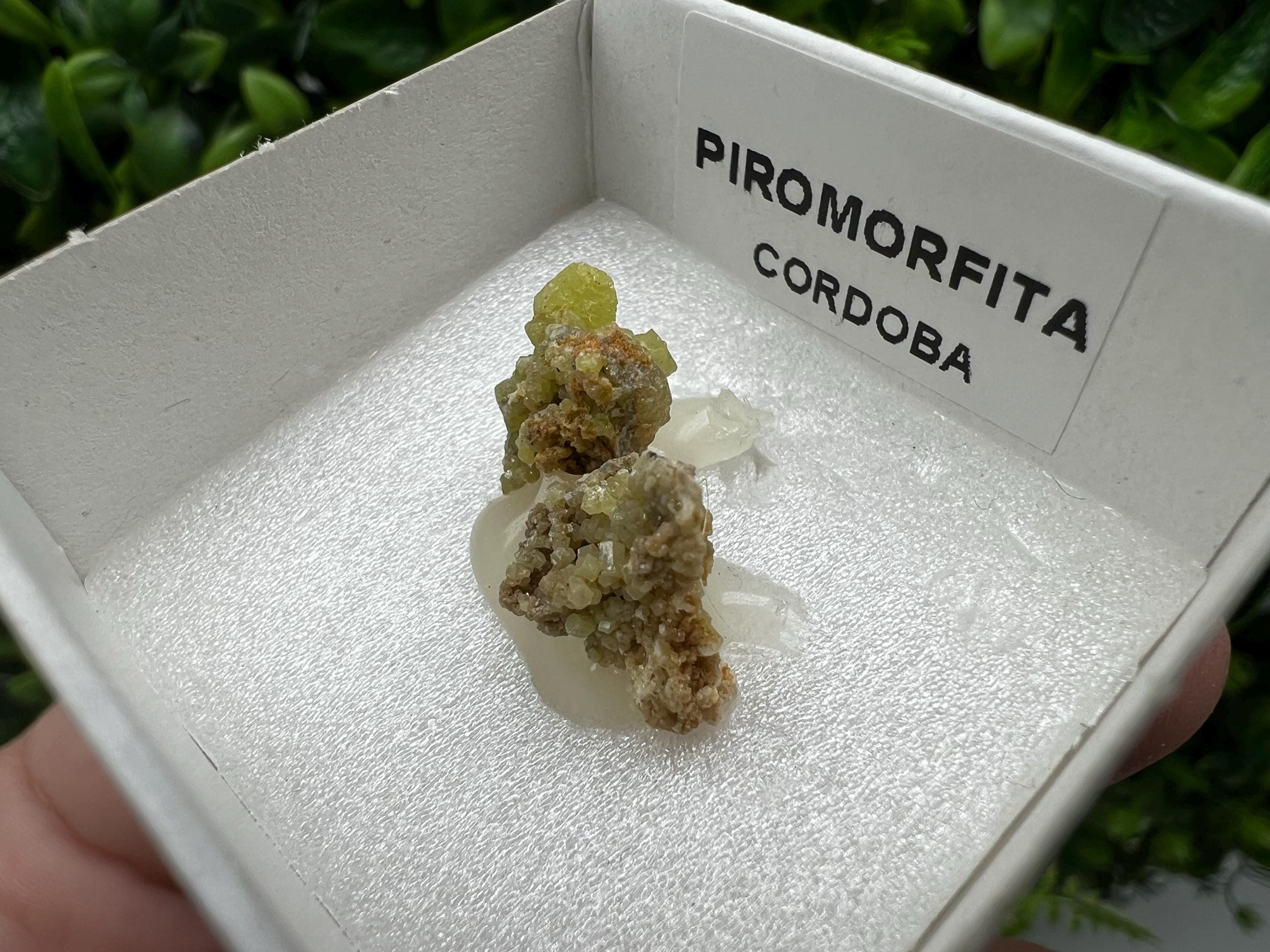 Pyromorphite Stone / Pyromorphite on Matrix / Pyromorphite Crystal / Raw Crystal / Pyromorphite Cluster / Rough Pyromorphite / Pyromorphite