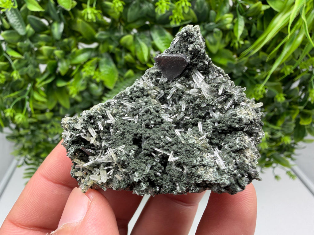 Sphalerite  on Green Quartz: Borieva Mine Crystal Decor
