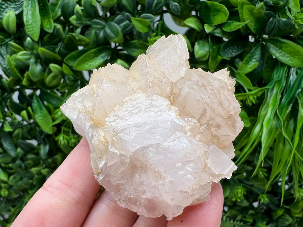 Calcite & Chlorite Crystal: Borieva Mine, Bulgaria