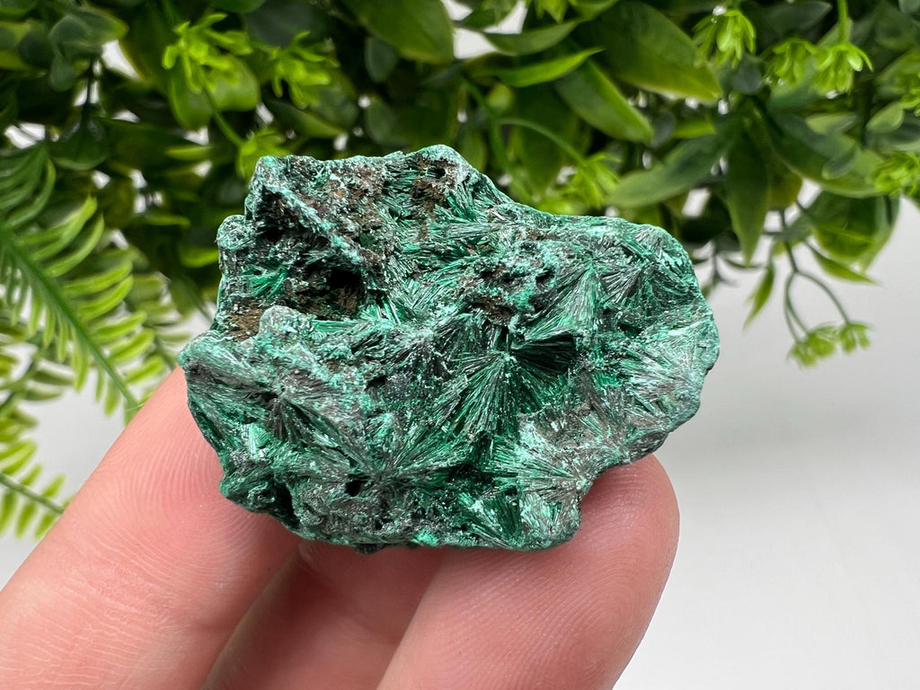 Malachite Crystal from Congo,Minerals,Crystals from Congo,Green Malachite, Malachite,Natural Malachite,Malachite Stone,Chakra, Specimens