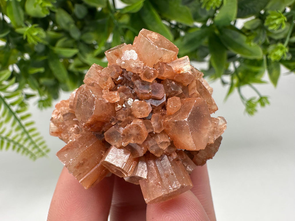 Aragonite Sputnik Cluster: Raw Moroccan Crystal Stone, Home Decor