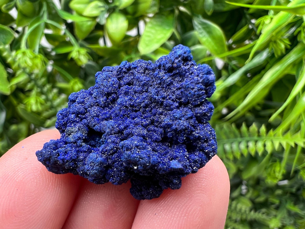 Crystallized Azurite-Kerrouchen,Morocco-Blue Azurite Specimen-High Quality Blue Azurite-Azurite Mineral Specimen, gemmy,lustrous of Azurite
