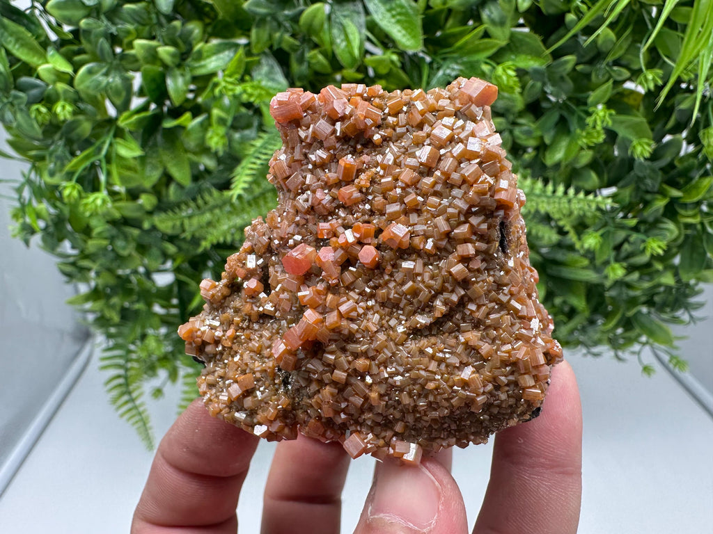 VERY Rare red Vanadinite on Barite whit Goethite from Marocco,crystal minerals Speciment cluster Vanadinite crystal Vanadinite Geology Vanad