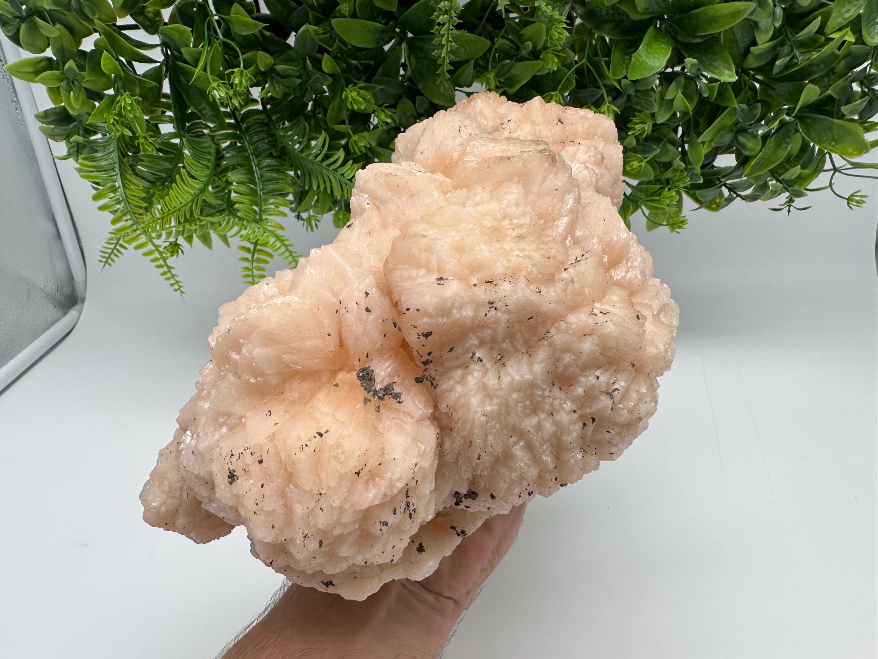 Apophyllite Stilbite on Chalcedony: Natural Mineral Specimen, India