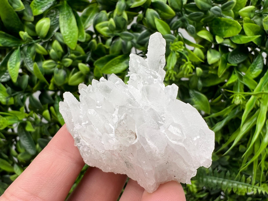 Wonderful Transparent Quartz on Chlorite Matrix,From Borieva mine,Madan,Bulgaria,Quartz,Quartz crystal,mineral specimen,collection quartz