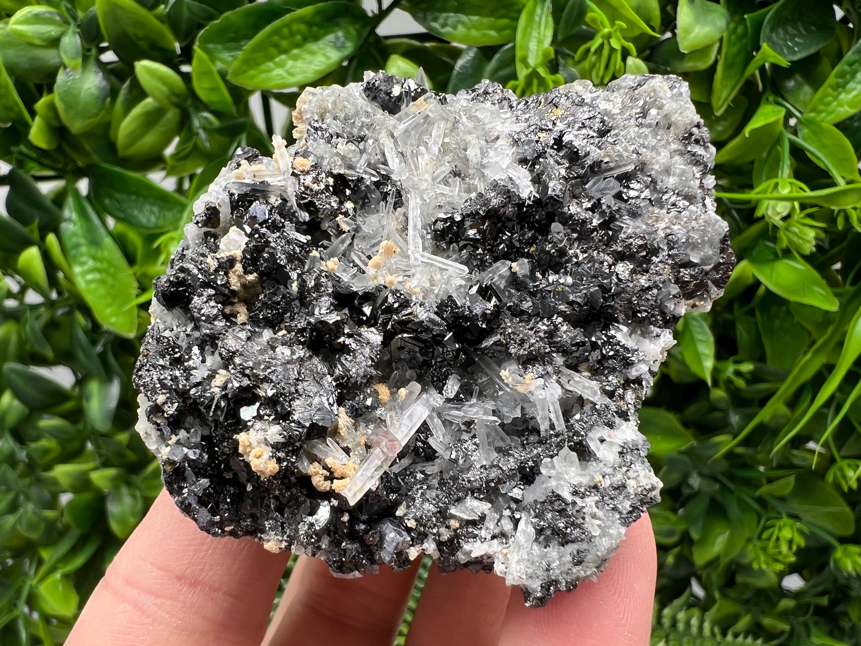 Galena Cluster with Siderite and Quartz, 9th September Mine, Bulgaria