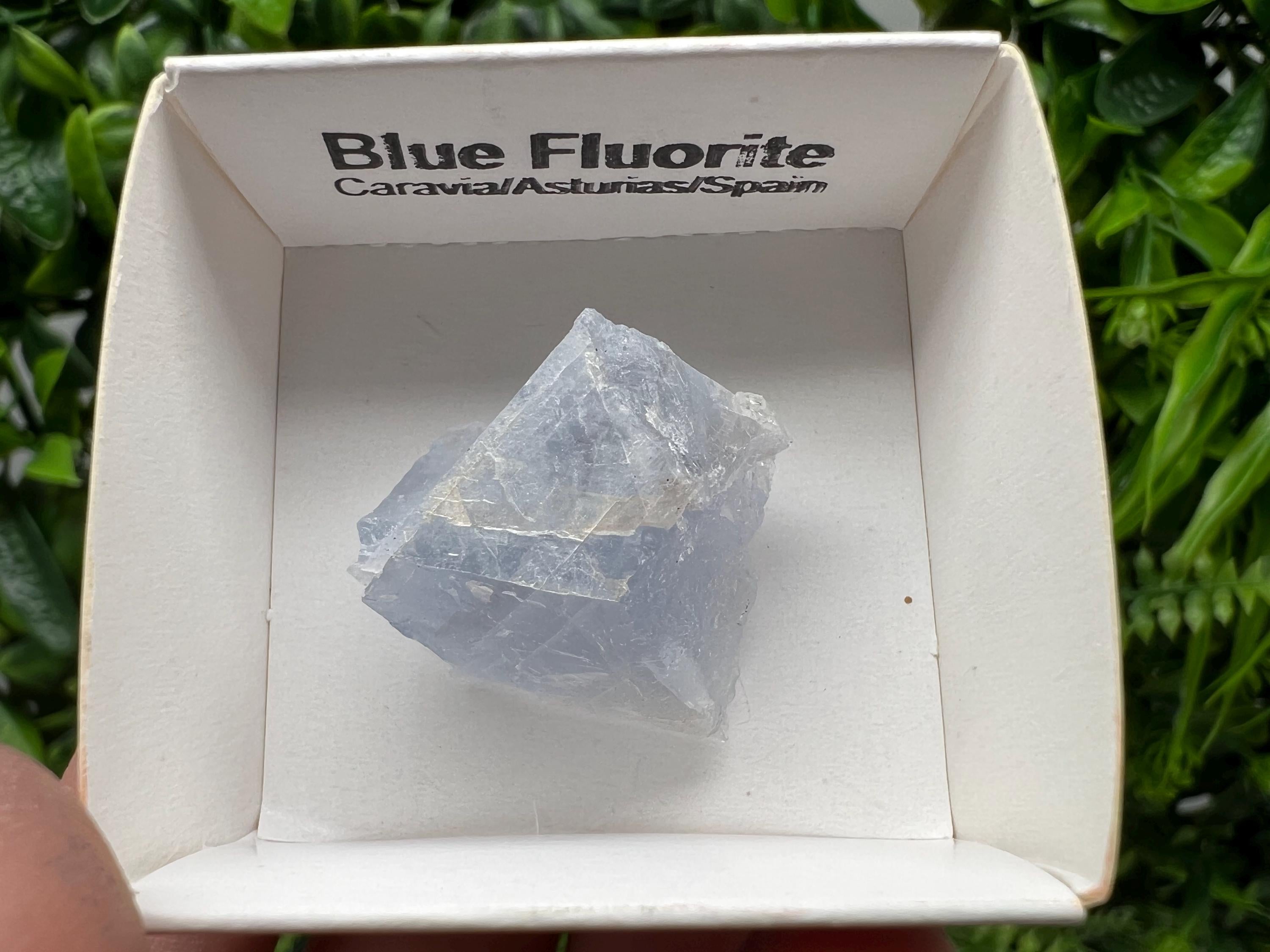 Blue Fluorite Mineral Specimen: Spain Collection (2.5/2.5 cm)