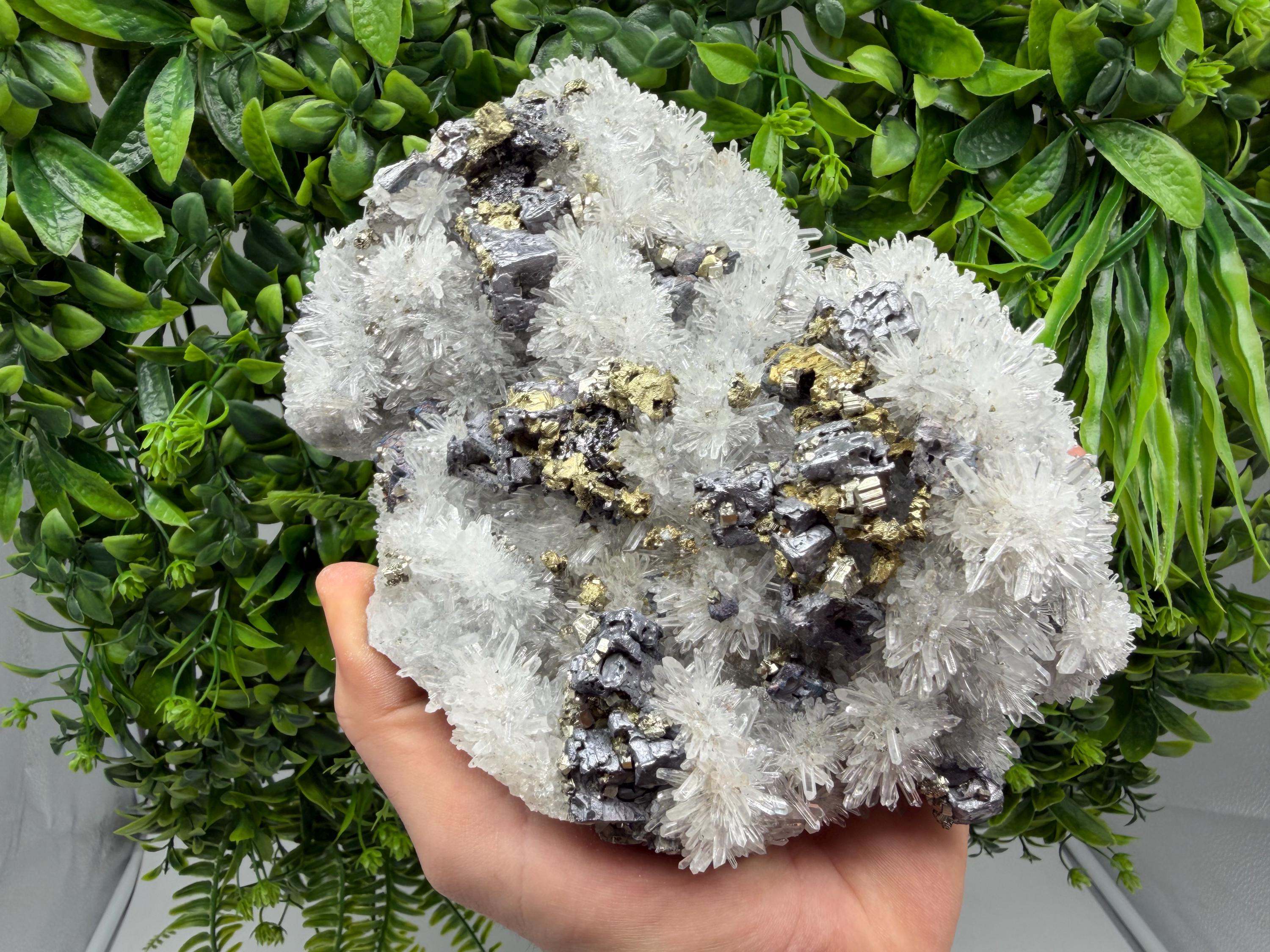 Sphalerite Chalcopyrite Galena on Quartz, 9th September Mine Mineral Specimen