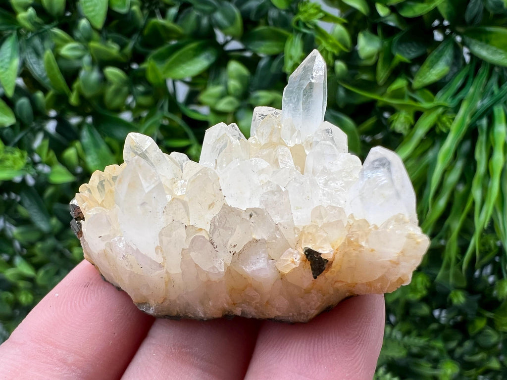 Bulgarian Quartz Mineral Specimen: Iron Oxide Limonite Inclusion