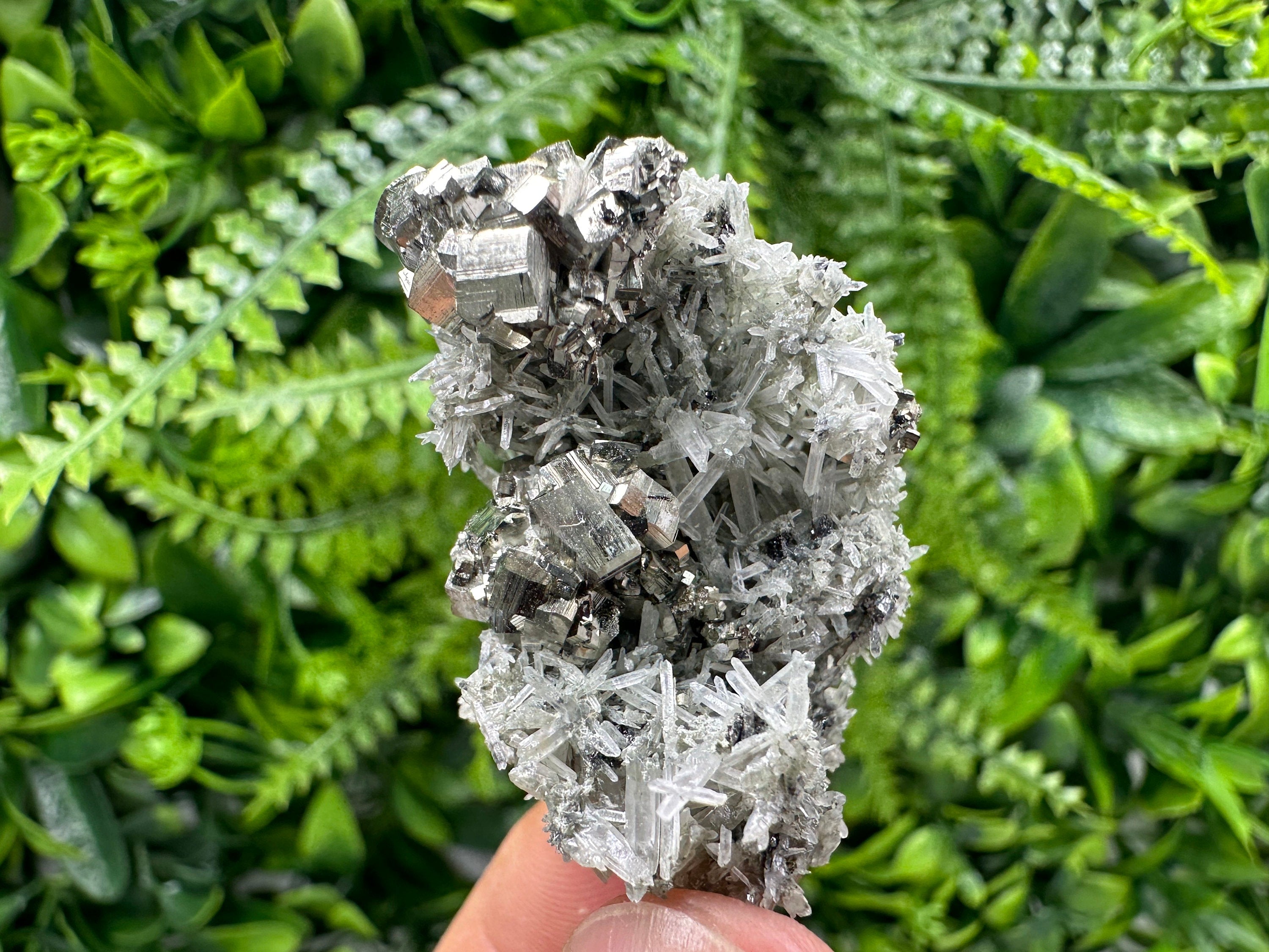 Pyrite on Green Quartz, Borieva Mine Mineral Specimen