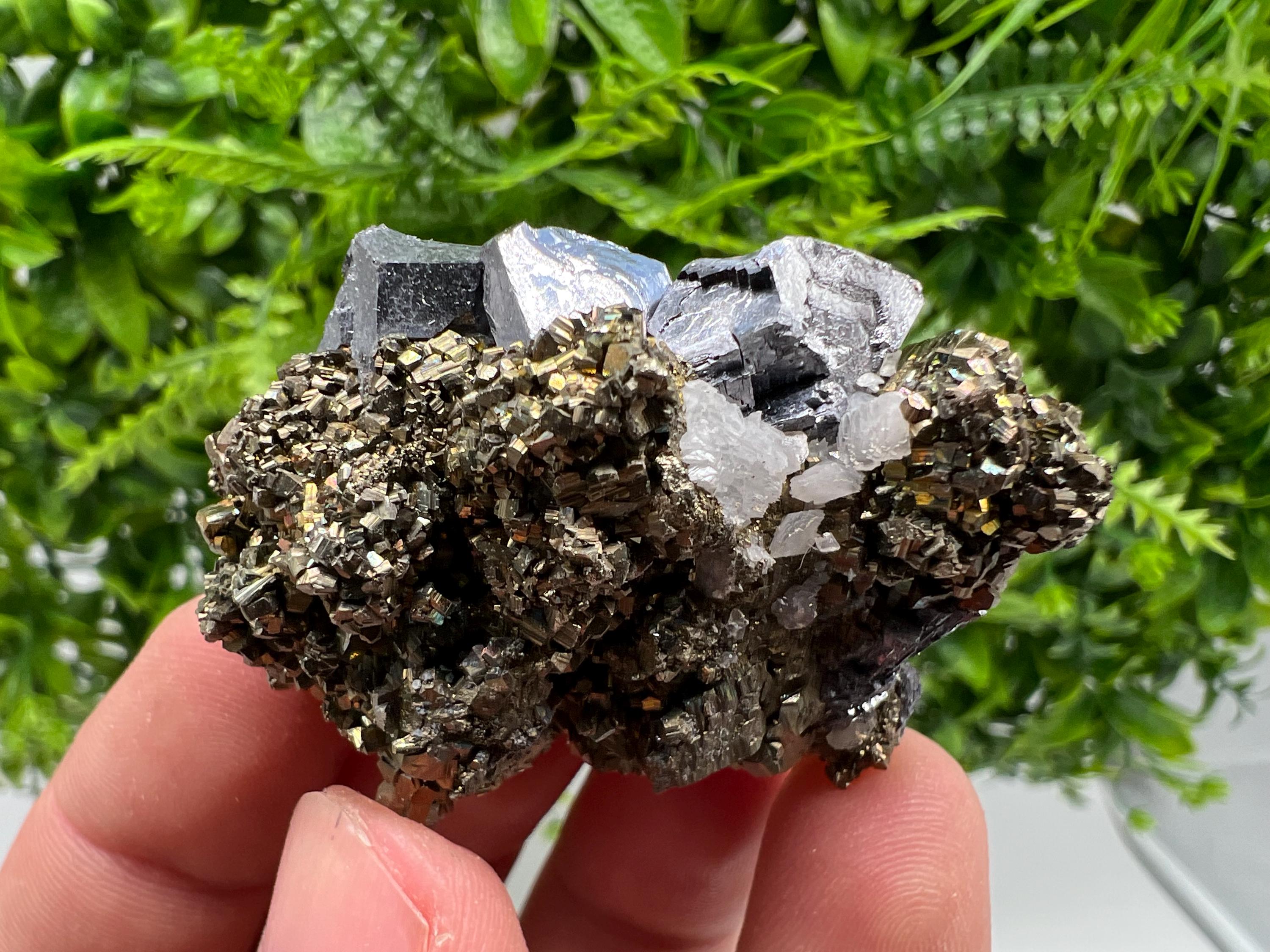 Galena on Pyrite Specimen: Borieva Mine, Bulgaria