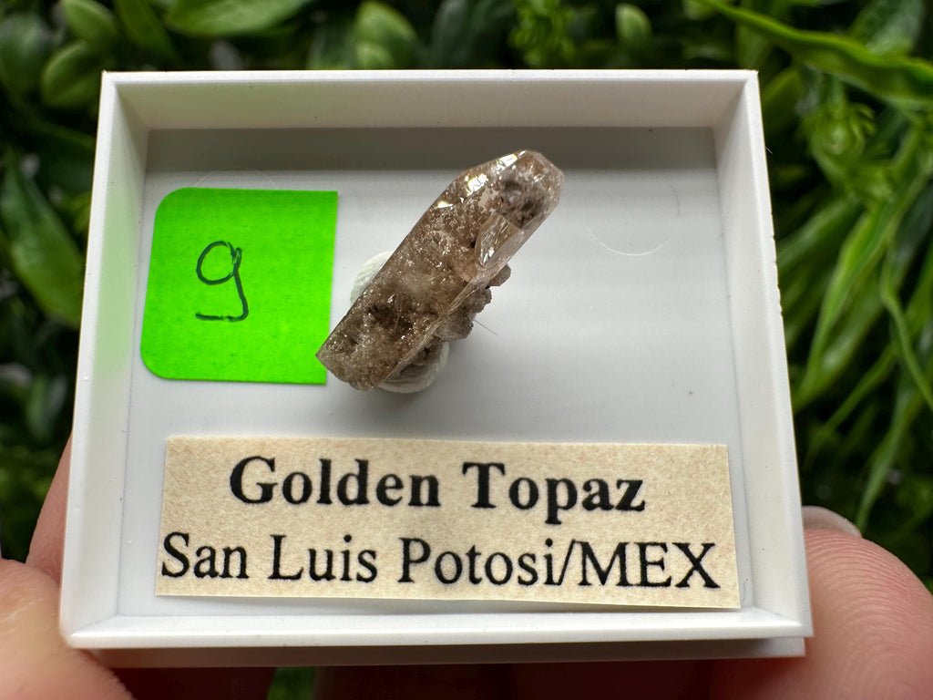 Golden Topaz Crystal, Mineral Specimen from Mexico