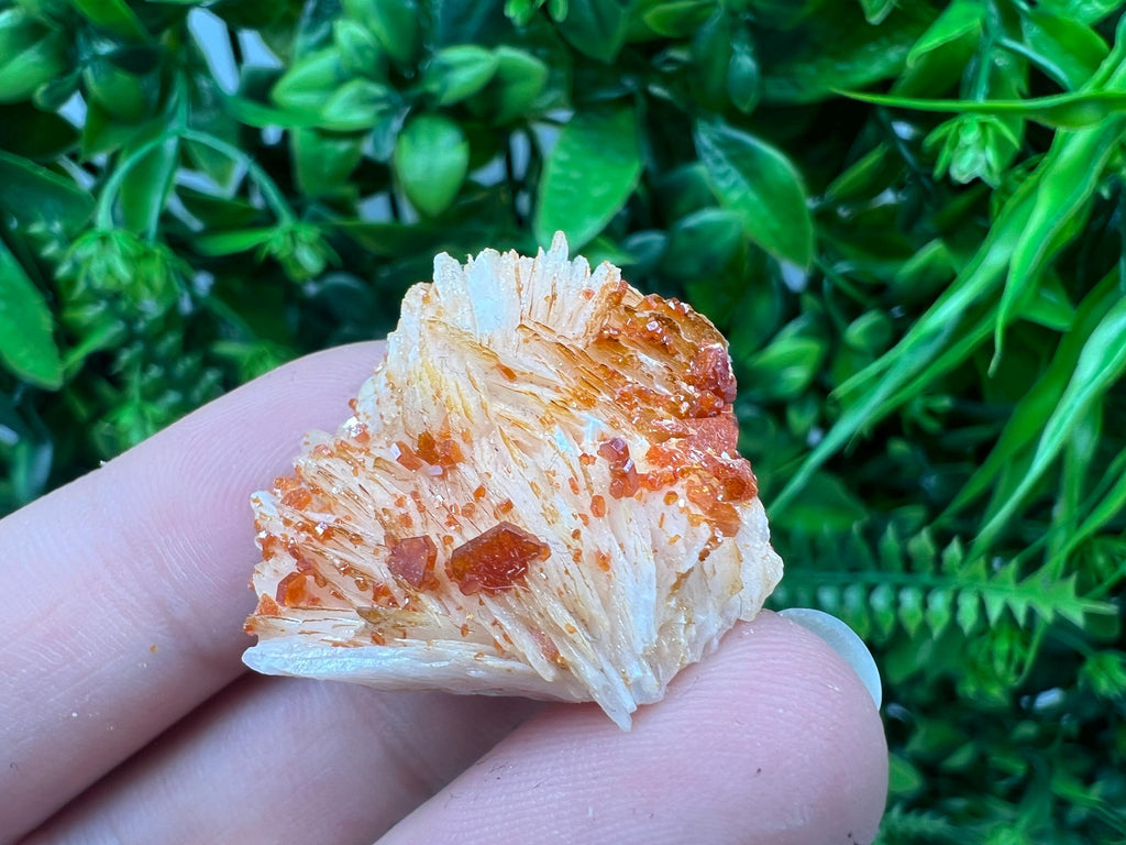 Red Vanadinite on Barite from Marocco,crystal minerals Speciment cluster Vanadinite crystal Vanadinite Geology Vanadinite cluster minerals