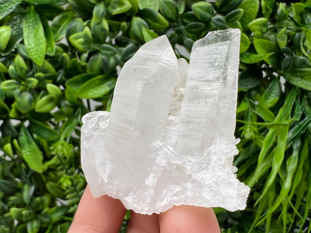 Wonderful Transparent Quartz on Chlorite Matrix,From Borieva mine,Madan,Bulgaria,Quartz,Quartz crystal,mineral specimen,collection quartz