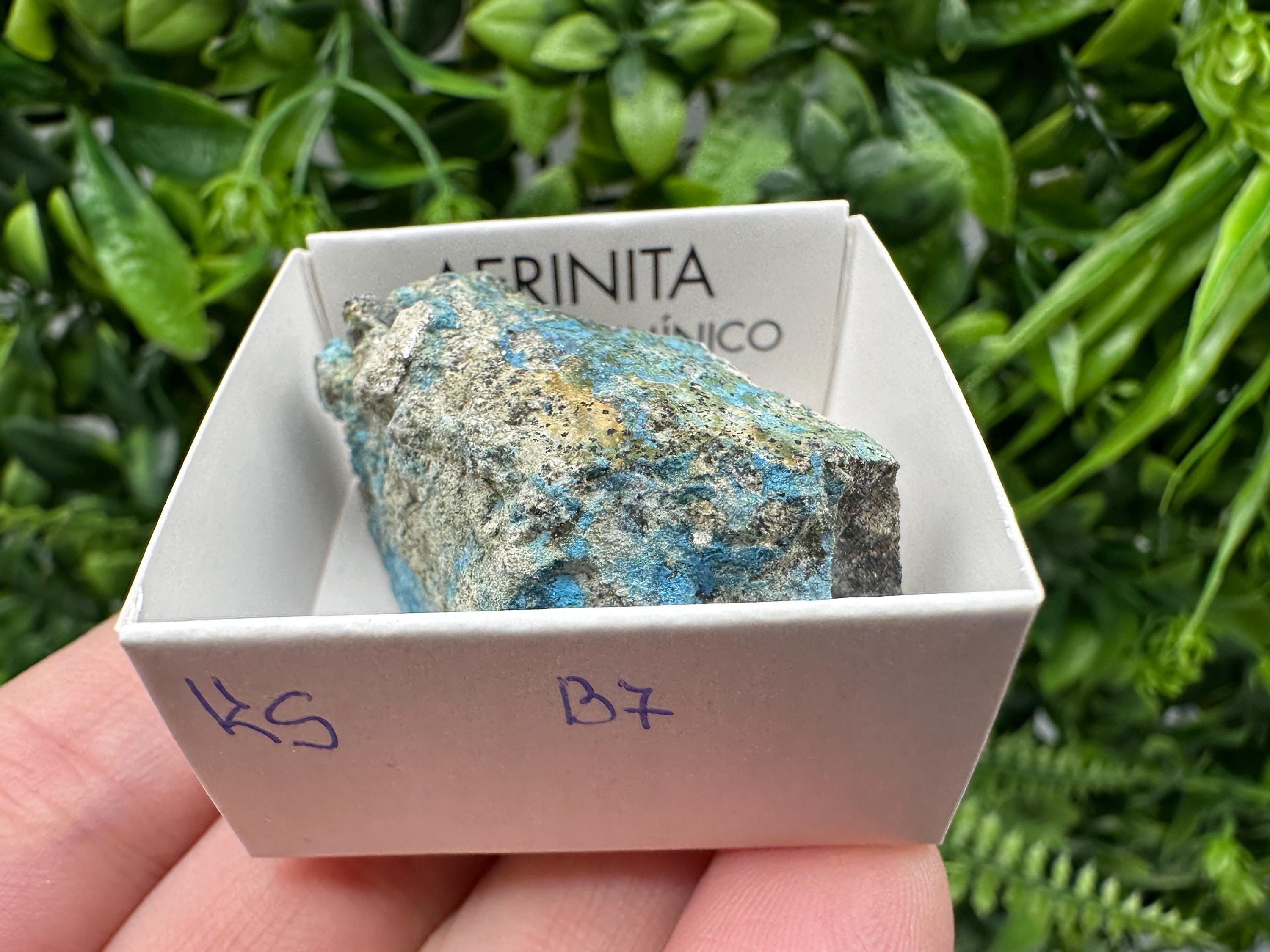 Rare Raw Aerinite Mineral Specimen: Lleida, Spain Crystal