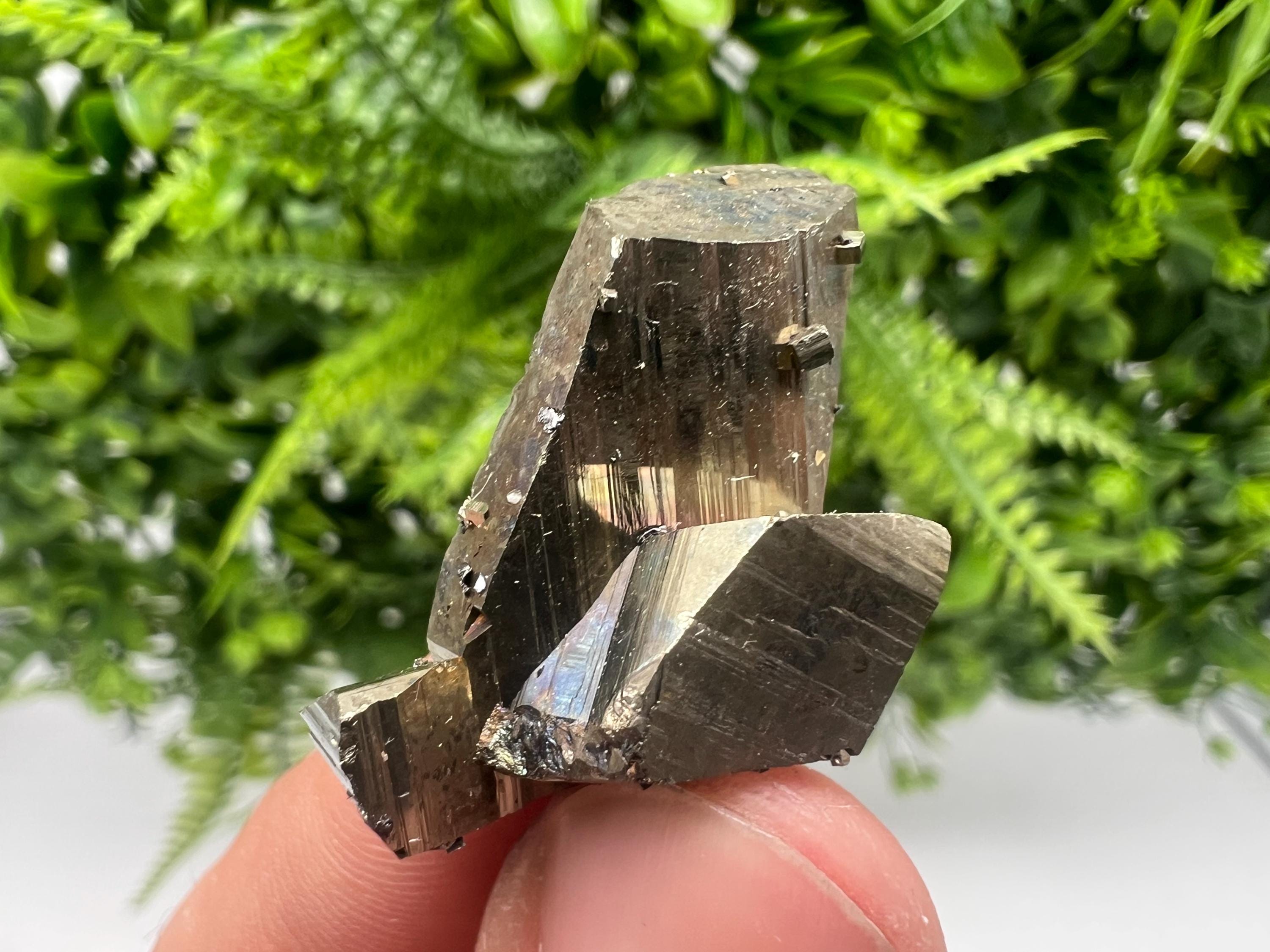 Mini Rainbow Pyrite Cluster: Borieva Mine, Bulgaria