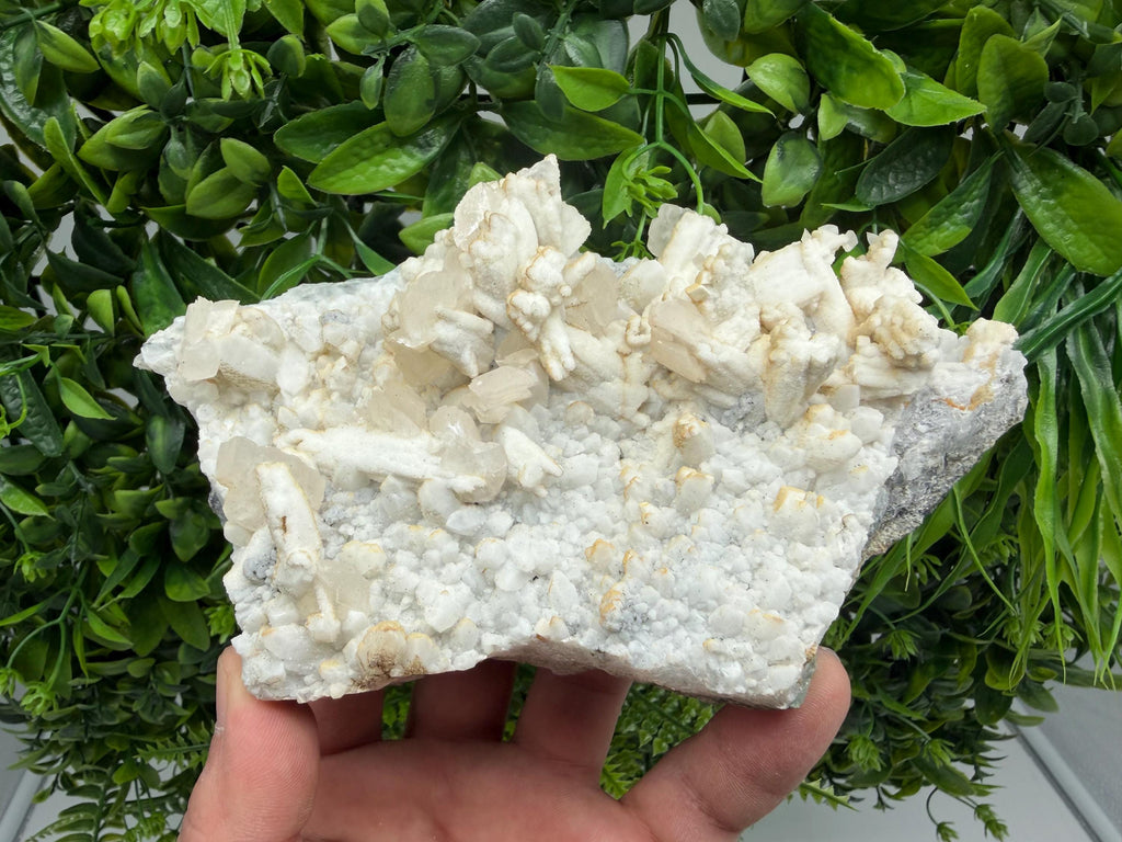 Calcite on Aragonite: Djurcovo Mine, Bulgaria Healing Crystal