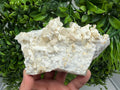Calcite on Aragonite: Djurcovo Mine, Bulgaria Healing Crystal