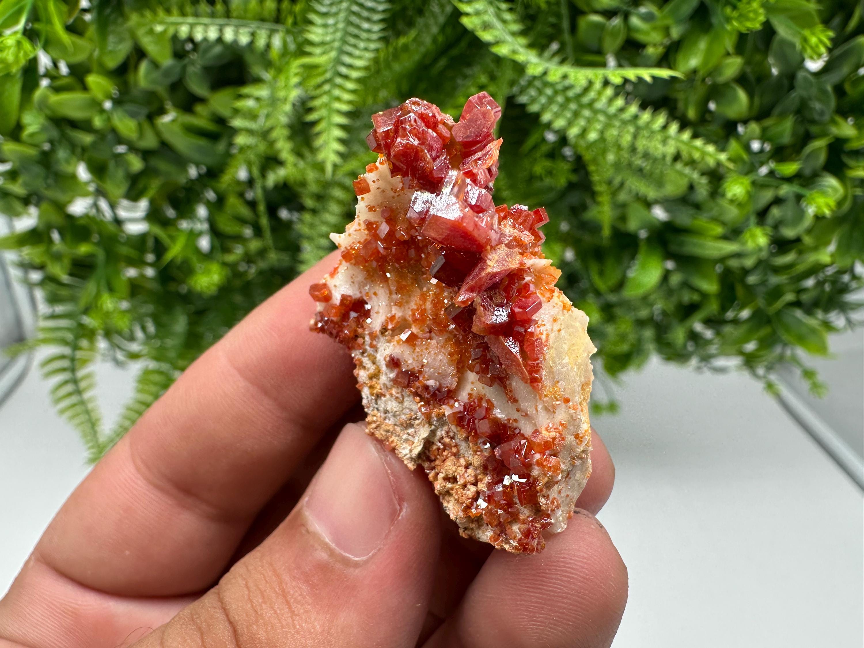 Red Vanadinite on Barite, Morocco Crystal Cluster