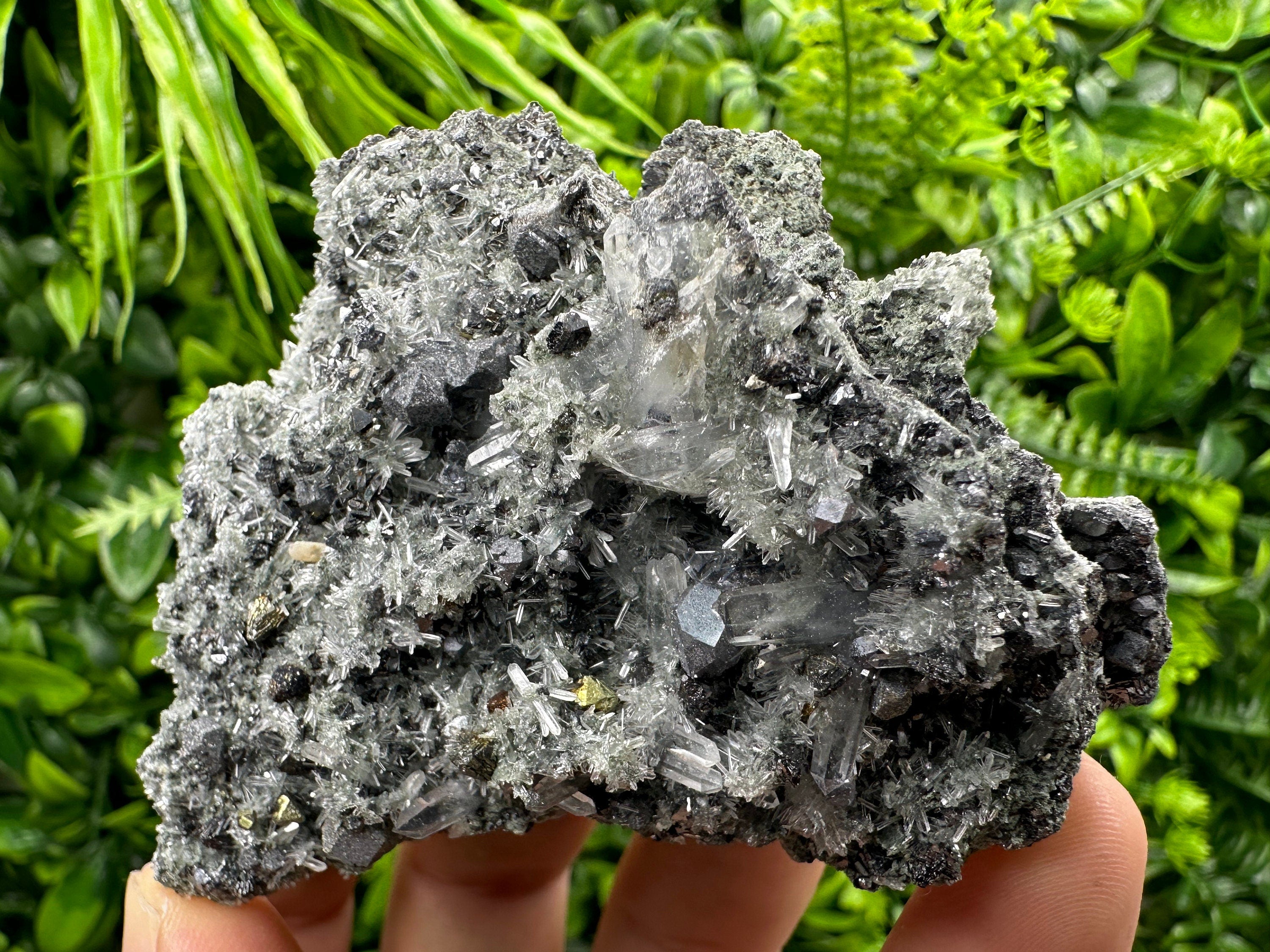 Chalcopyrite Galena on Quartz with Chlorite, Bulgaria Mineral Specimen
