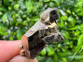 Rare Mini Pyrite Cluster, Crystallization Mineral Specimen