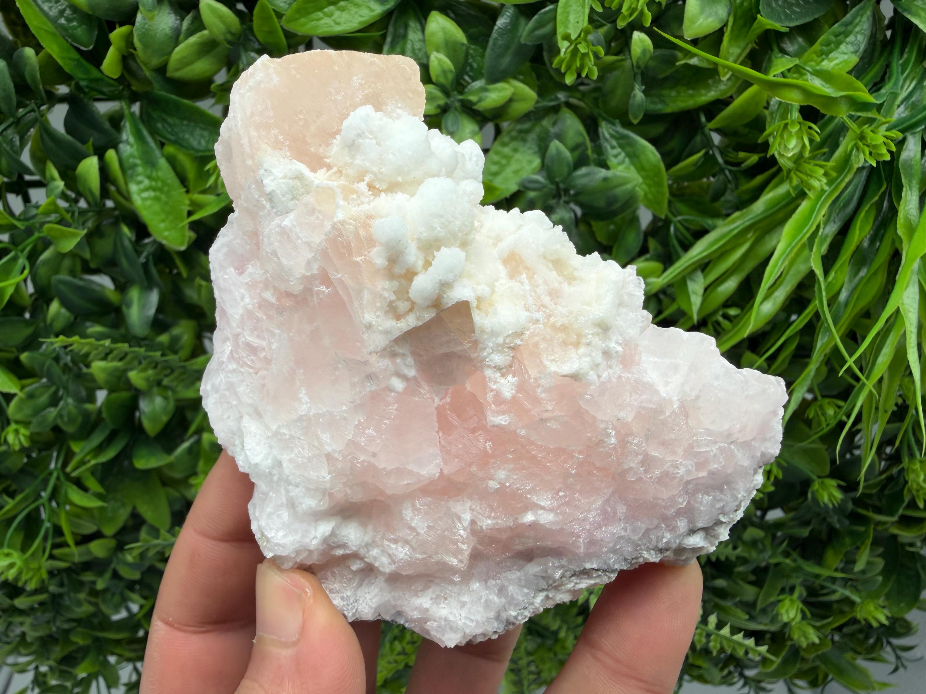 UV Reactive Mangano Calcite Crystal, Androvo Mine Bulgaria