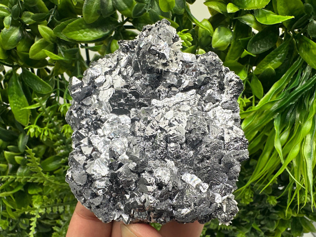 Galena with Quartz Mineral Specimen, Krushev dol Mine, Bulgaria