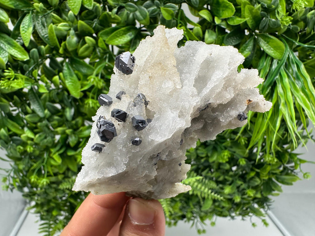Rare Galena on Chalcedony Specimen, Krushev dol Mine, Bulgaria